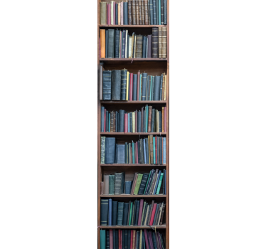 Autocolante para frigorífico estantes de biblioteca - TenStickers