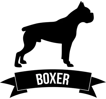 Autocolante cão boxer - TenStickers
