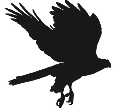 Autocolante de quadro-negro da silhueta de águia - TenStickers