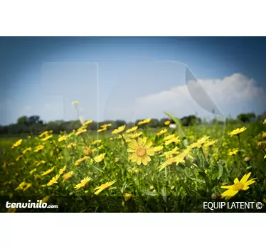 Autocolante decorativo campo de margaridas - TenStickers