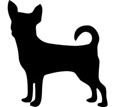 Autocolante decorativo Chihuahua - TenStickers