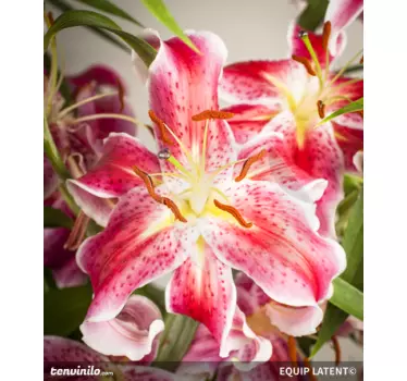 Autocolante decorativo da flor - TenStickers