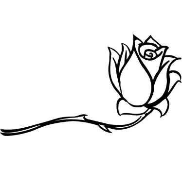 Autocolante decorativo rosa personalizada - TenStickers