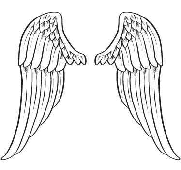 Vinil decorativo asas de anjo - TenStickers