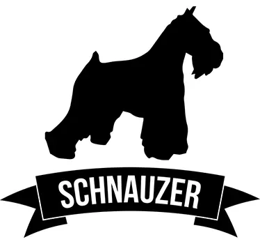 Vinil decorativo cão shnauzer - TenStickers