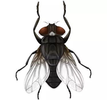 Vinil decorativo de insetos ilustração de mosca - TenStickers