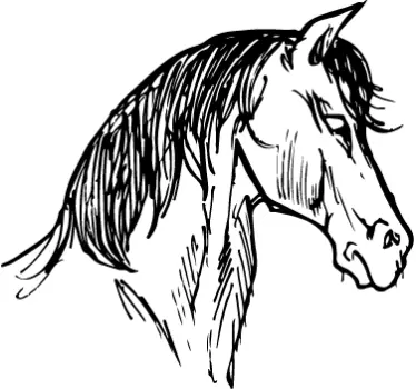 Vinil decorativo desenho de cabeça de cavalo - TenStickers