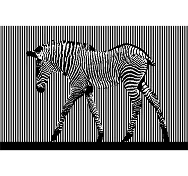 Vinil Decorativo Foto Mural Zebra - TenStickers
