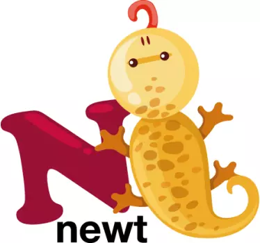 Vinil decorativo salamandra letra N - TenStickers