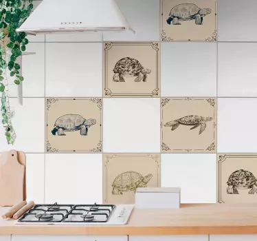 Tartarugas bege fundo telhas telha transferência - TenStickers