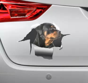 Autocolante para carro buraco do Rottweiler - TenStickers