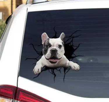 Autocolante com cães e gatos copo de cachorro - TenStickers