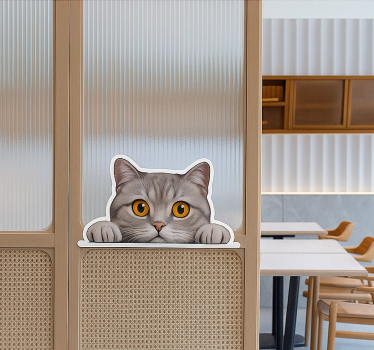 Autocolante para janela gato curioso espiando - TenStickers