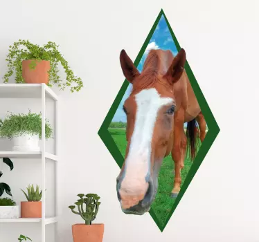 Autocolantes para animais de quinta cabeça de cavalo - TenStickers