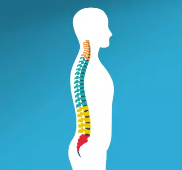 Vinil decorativo coluna vertebral - TenStickers