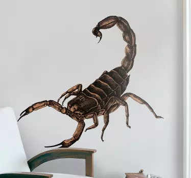 Vinil decorativo de insetos da ilustração do escorpião - TenStickers