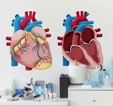 Vinil decorativo de medicina e saúde Coração - TenStickers