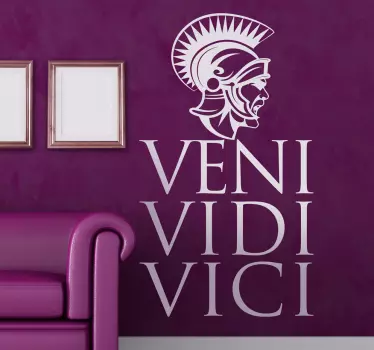Vinil decorativo veni vidi vici - TenStickers