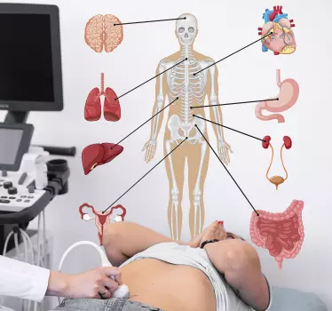 Autocolantes de medicina e saúde Imagem Médica do Corpo Humano - TenStickers