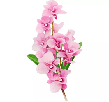 T-shirt orquídeas rosas lindas - TenStickers