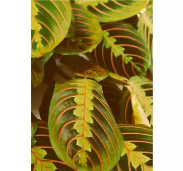 T-shirt estampa de folhas verdes - TenStickers
