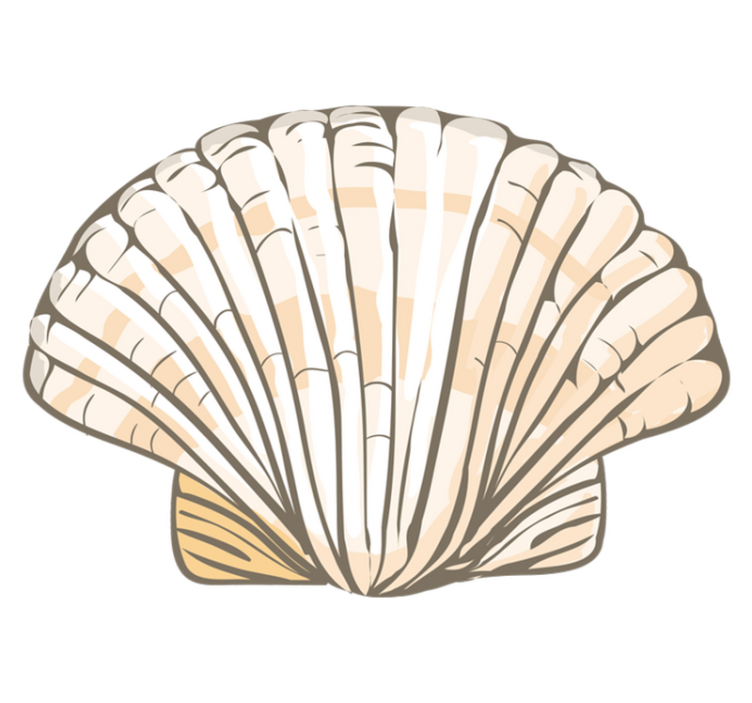 Tapete vinílico de animais ilustração de concha - TenStickers