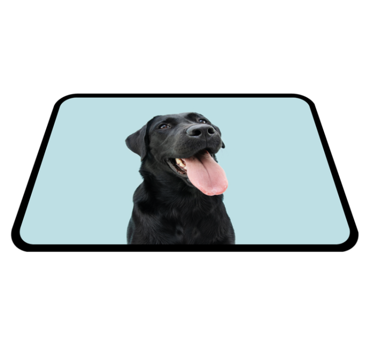 Tapete vinílico de animais cão labrador preto - TenStickers