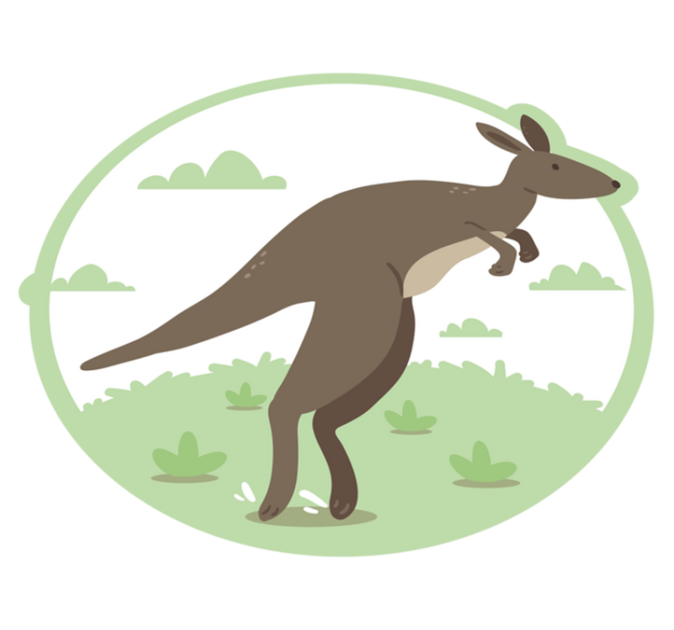 Tapete de animal de desenho animado de canguru pulando - TenStickers