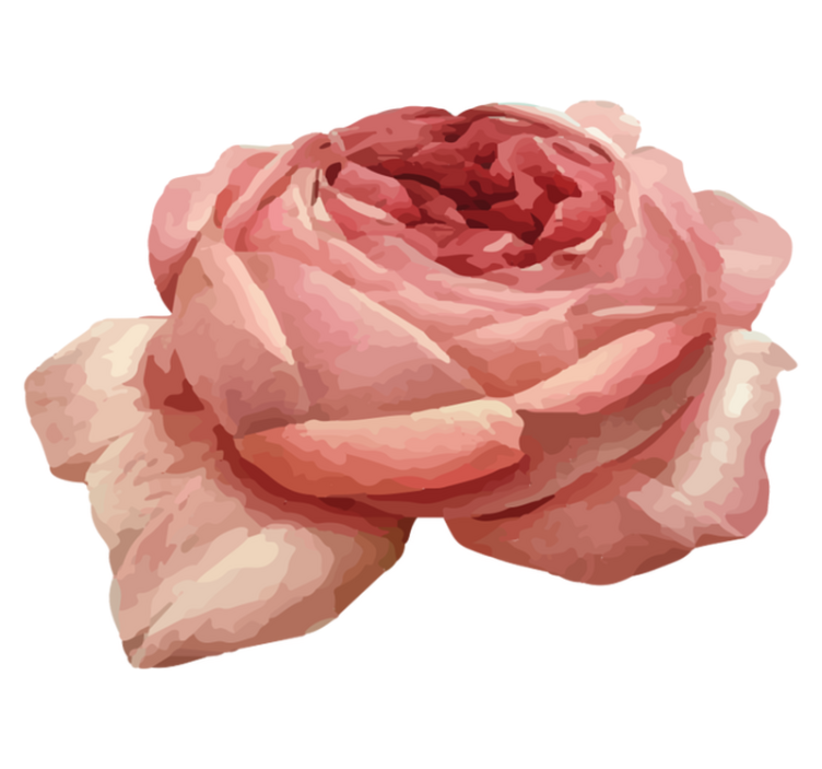 Tapete vinílico flores e plantas flor rosa exuberante - TenStickers