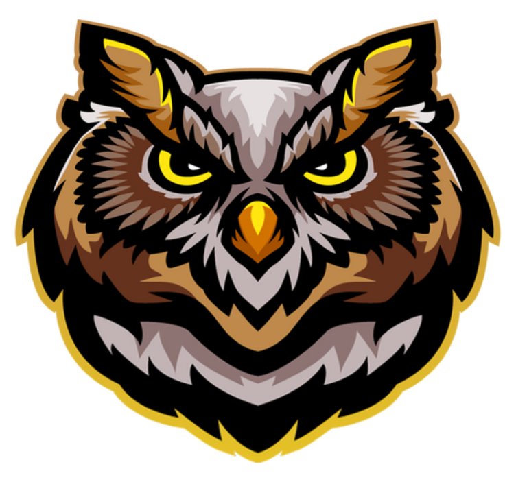 Tapete vinílico de animais arte de rosto de coruja - TenStickers