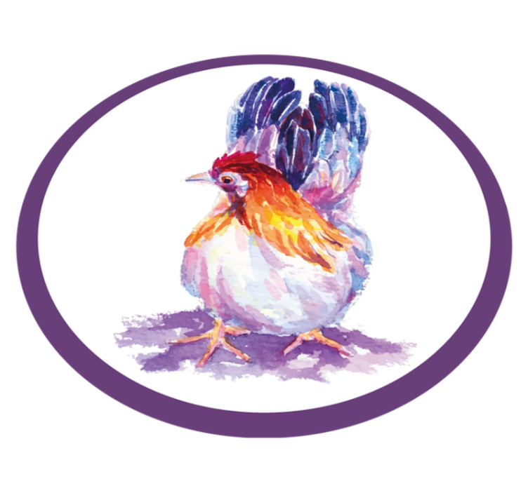 Tapete vinílico de animais frango colorido coq - TenStickers