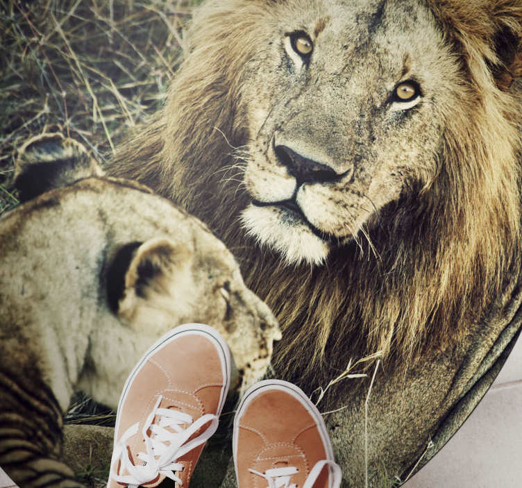 Tapete animal leão e leoa - TenStickers