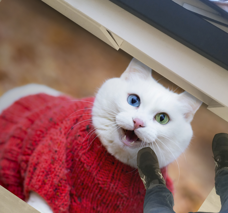 Tapete vinílico para gabinete Animal gato sorridente fofo - TenStickers