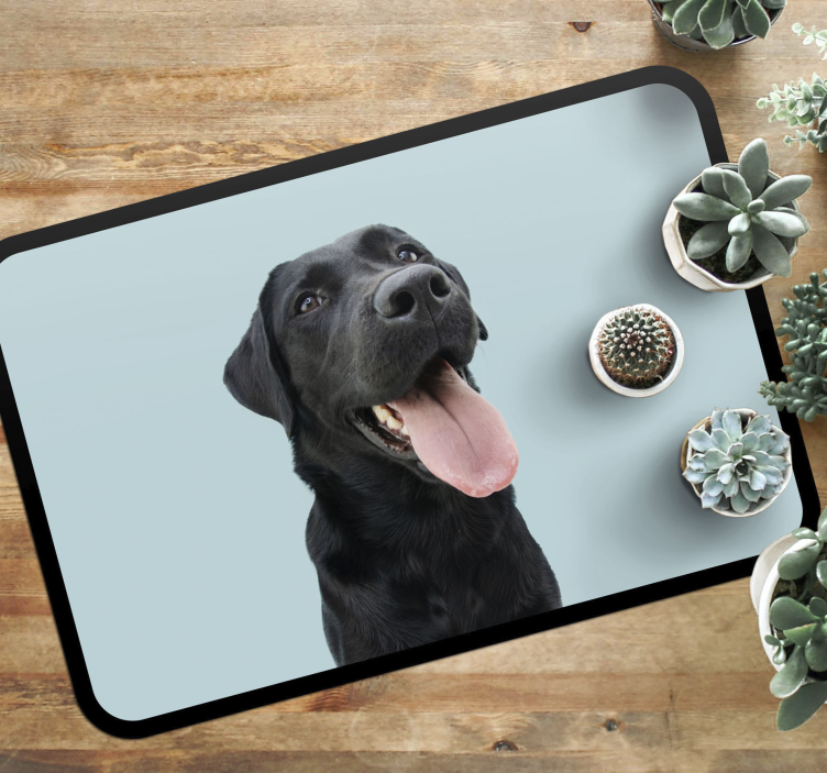 Tapete vinílico de animais cão labrador preto - TenStickers