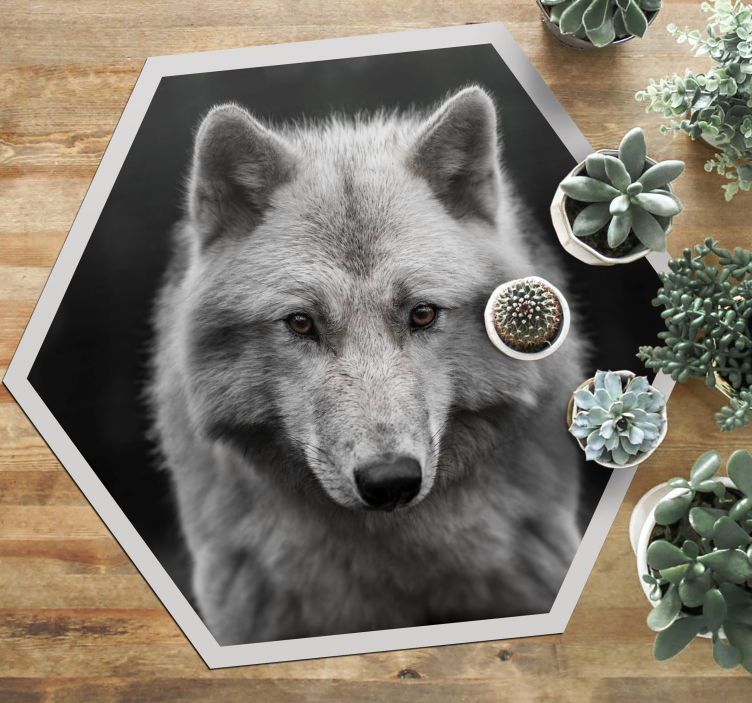 Tapete vinílico de animais retrato de lobo - TenStickers