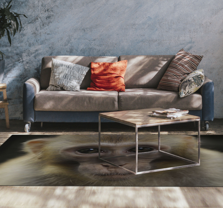 Tapete vinílico de animais cara de macaco bebê - TenStickers