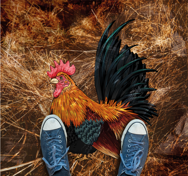 Tapete vinílico estampa de animal galo vibrante - TenStickers