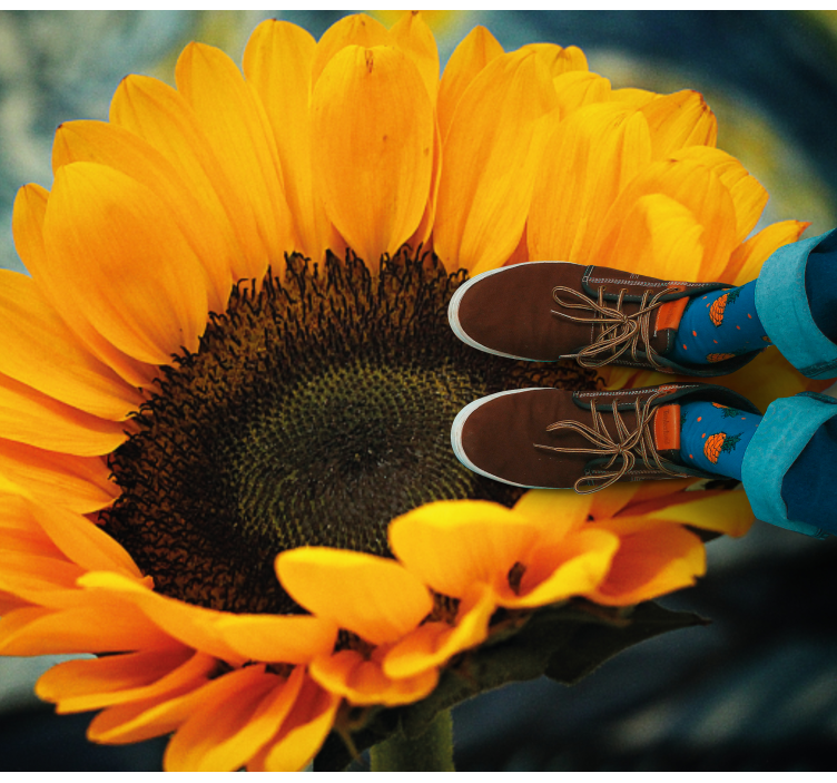 Tapete vinílico flores e plantas girassóis em flor - TenStickers