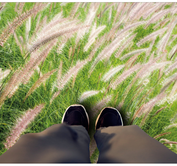 Tapete vinílico natureza paisagem verdejante - TenStickers