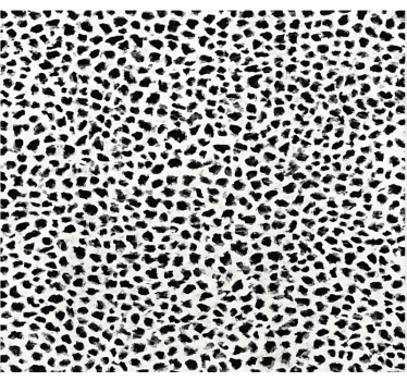 Tapete vinílico para sala de jantar estampa de leopardo monocromá - TenStickers