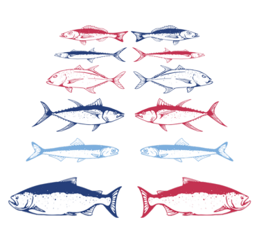Tapete vinílico de animais com desenho de peixes - TenStickers