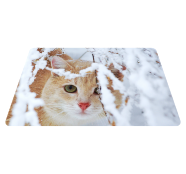 Tapete vinílico de animais gato com estalactite - TenStickers