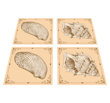 Tapete vinílico de animais conchas vintage - TenStickers