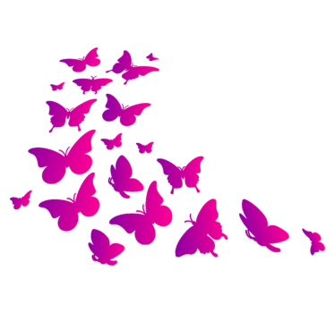 Tapete vinílico de animais borboleta de janela - TenStickers
