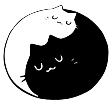 Tapete vinílico de animais gatos yin yang - TenStickers