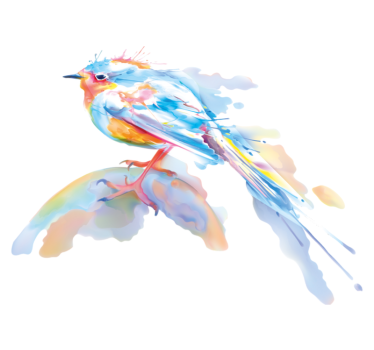 Tapete vinílico de animais splash de pássaros - TenStickers