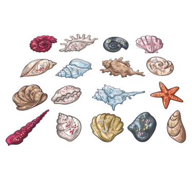 Tapete vinílico de animais desenhos de conchas - TenStickers