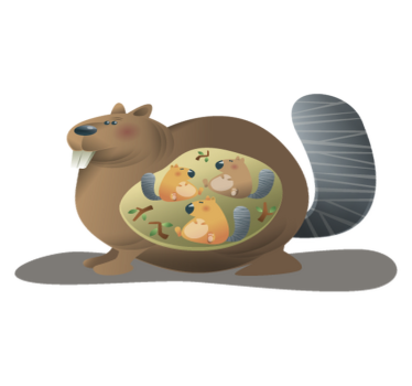 Tapete vinílico de animais mãe esquilo - TenStickers