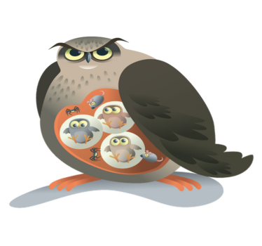 Tapete vinílico de animais coruja mãe - TenStickers
