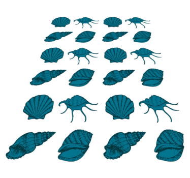 Tapete vinílico de animais de conchas marinhas - TenStickers